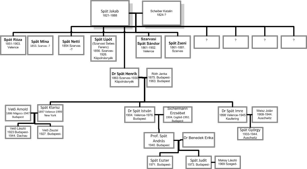 Spät családfa 14 10 211