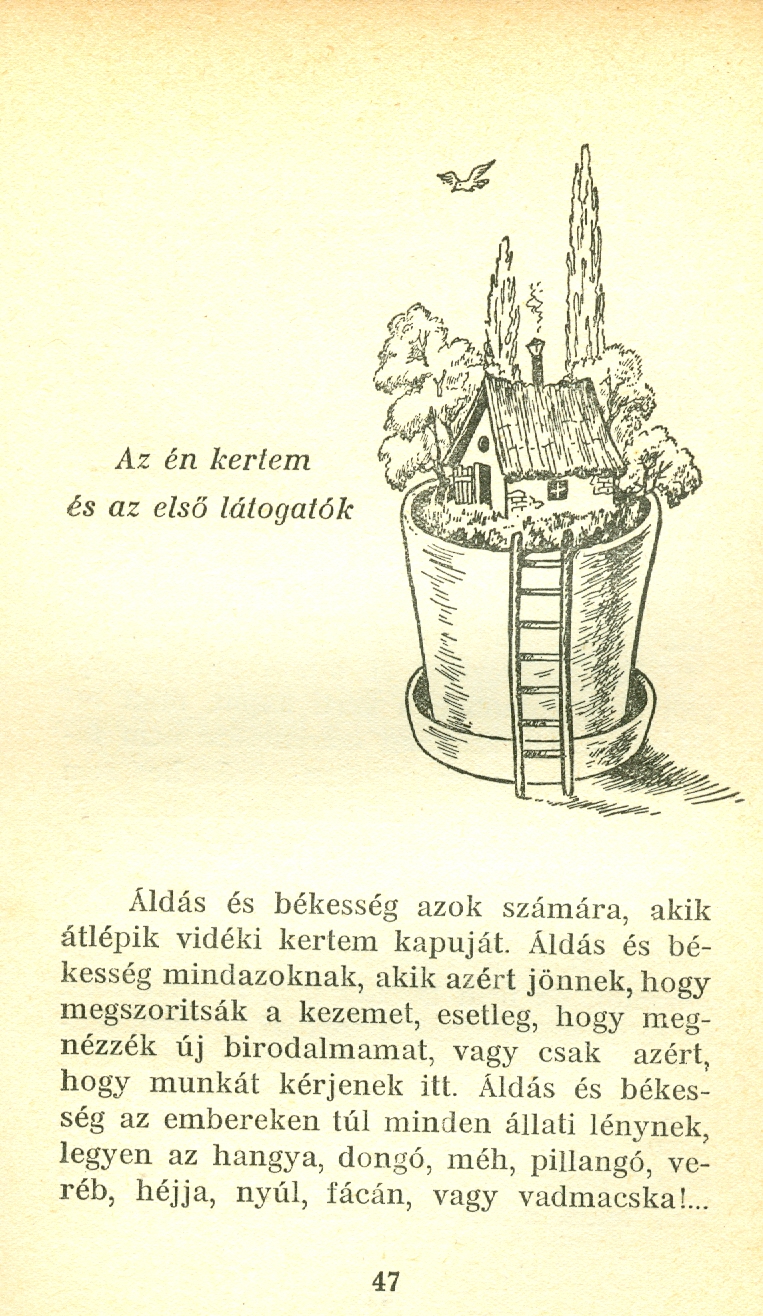 beolvasás0002