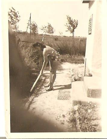 11149370_795868567170407_1777017666185309587_n