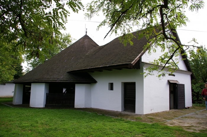 szarvas